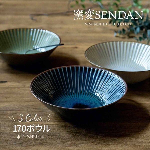 sendan 窯変センダン サラダボウル おしゃれ 和食器 うつわ ボウル 17cm 電子レンジ しのぎの器 中鉢 取り鉢